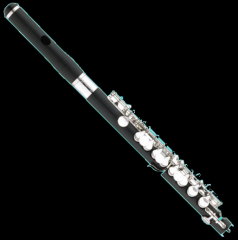 A piccolo receiving specialist attention